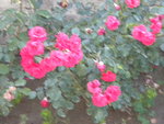 DSCN2318.JPG
