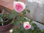 DSCN2139.JPG