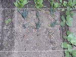 110520_A5.jpg