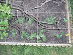 110520_B8B9.jpg