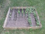 110520_carreA.jpg