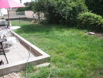 DSCF1031.JPG