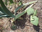 DSCN3155.JPG