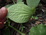 DSCN3175.JPG