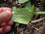 DSCN3176.JPG