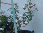 DSCN2259.JPG