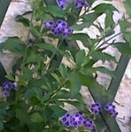 23052011018.jpg
