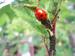 DSCN3137.JPG