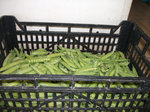DSCF1159.jpg