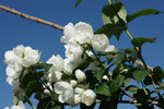 DSC00027.jpg