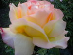 DSCN2190.JPG