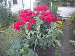 DSCN2320.JPG