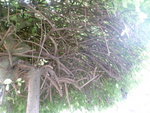 P1000593.JPG