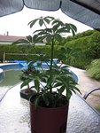 IMG_2309.jpg