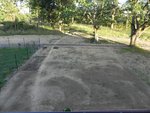 DSCN1060.JPG