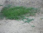 DSCN1062.JPG