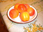 DSCN2330.JPG