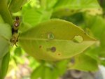 IMG_1134.jpeg