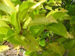 IMG_1133.jpeg