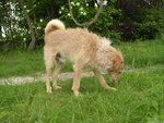 DSCN2298.JPG