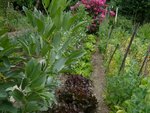 jardin N°2.jpg