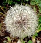 DSC00112.JPG