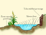 coupe-mare-terrain-pente1.jpg