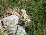 IMG_1245.JPG