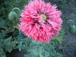 DSCN2322.JPG