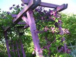 BILD1142.jpg