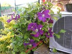 BILD1021.jpg
