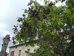 BILD1136.jpg