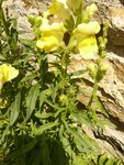 P1120179.JPG