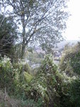 PA040056.JPG