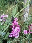 DSC00102.jpg