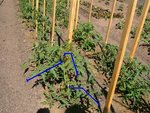 829547Photo15489.jpg