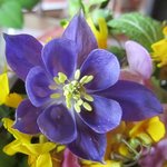 20110503  (02).JPG