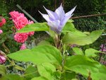 BILD1082.jpg