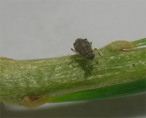 DSCN8606.jpg
