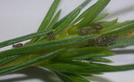 DSCN8610.jpg