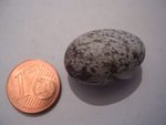 DSCN5180.JPG