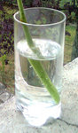 GourmandEau-Jplus9.jpg