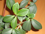 DSC00934.JPG