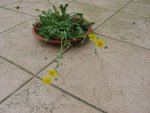 IMG_4167.JPG