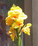 P1070437 copie.jpg