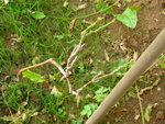 DSC08041.JPG