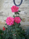 P7010042.JPG