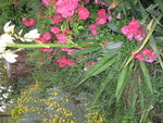 IMG_4022.JPG
