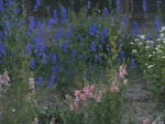 DSCN2339.JPG
