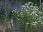 DSCN2340.JPG